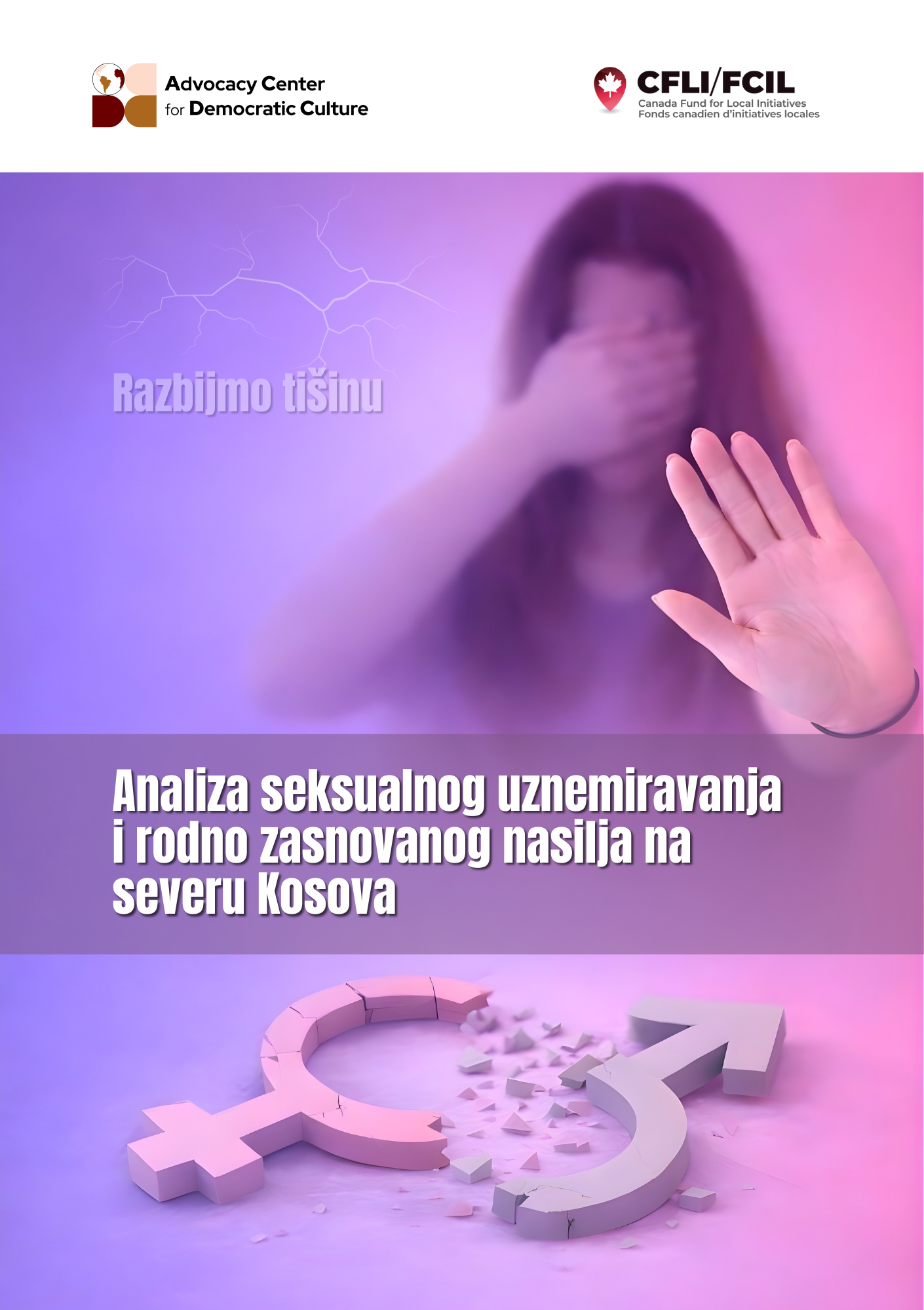 Analiza seksualnog uznemiravanja i rodno zasnovanog nasilja na severu Kosova
